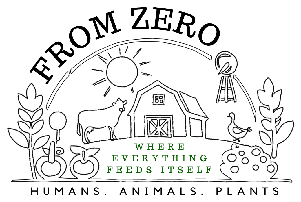 From Zero logo