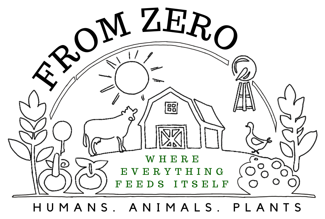 From Zero goodies logo